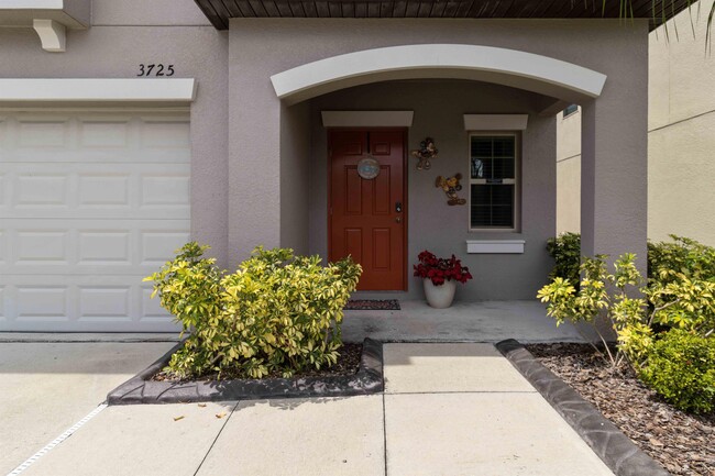 3725 Daisy Bloom Pl in Tampa, FL - Foto de edificio - Building Photo