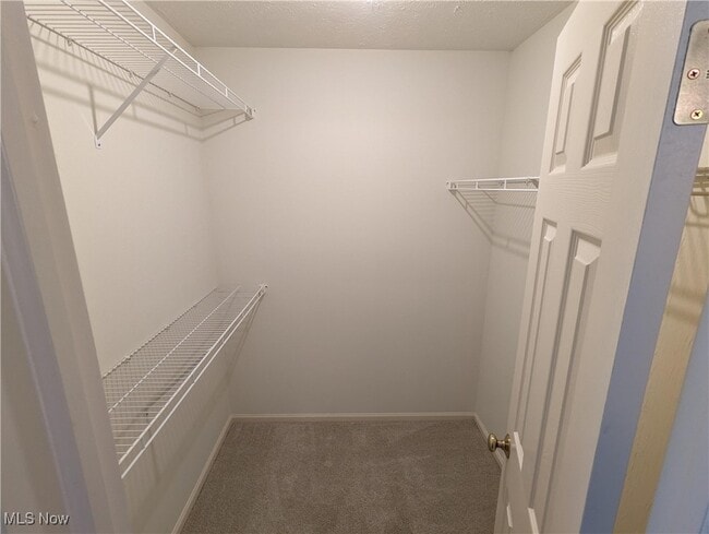 property at 1417 Hollow Wood Ln