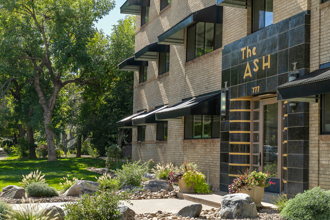 The Ash in Denver, CO - Building Photo