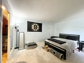 172 River St in Waltham, MA - Building Photo - Building Photo