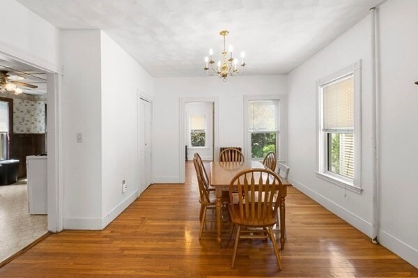 21 Conwell St, Unit 2 in Somerville, MA - Foto de edificio - Building Photo