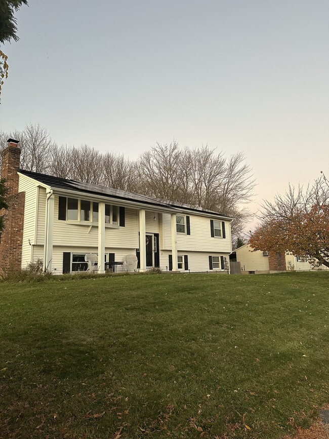 property at 29 Montano Rd