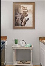 5750 N Camino Esplendora in Tucson, AZ - Building Photo - Building Photo