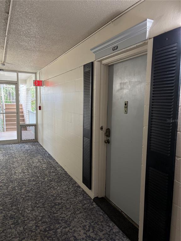3325 Bayshore Blvd in Tampa, FL - Building Photo - Building Photo