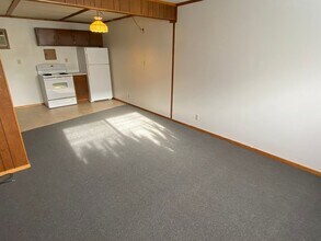 1598 N 3rd Ave in Wausau, WI - Building Photo - Building Photo