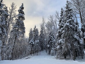 2321 S Colleen St in Palmer, AK - Building Photo - Building Photo