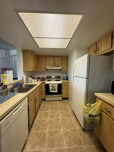 1038 Mollie Ln in Melbourne, FL - Building Photo - Building Photo