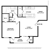 Cortland Lake Lotus photo'