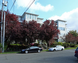 Courtyard Apartments in Seattle, WA - Building Photo - Building Photo