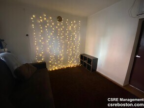307 Shawmut Ave, Unit 1 in Boston, MA - Building Photo - Building Photo