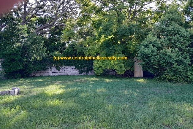 1374 Lady Marion Ln in Dunedin, FL - Building Photo - Building Photo