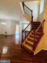 7300 Rocky Creek Dr in Columbia, MD - Building Photo