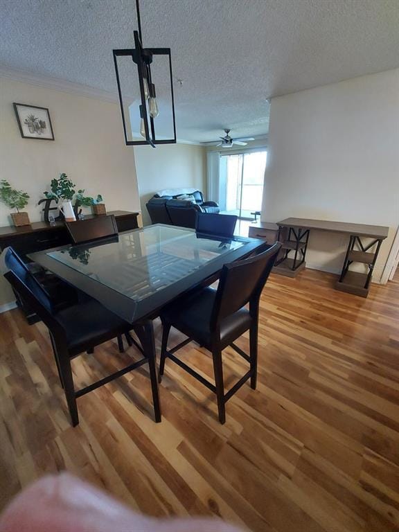 property at 1909 Summer Club Dr