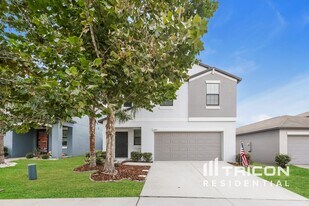 10005 RoseMary Leaf Ln in Riverview, FL - Building Photo