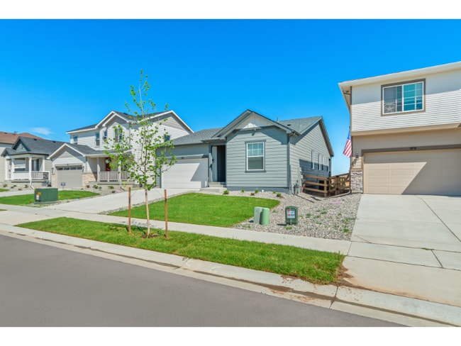983 Rustling St in Windsor, CO - Building Photo - Building Photo