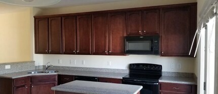 8006 Goldenrain Way in Raleigh, NC - Building Photo - Building Photo