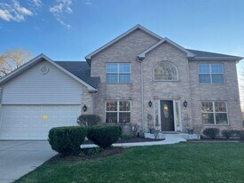 13356 Vicarage Dr in Plainfield, IL - Building Photo