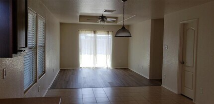 1119 Desert Oasis Ln in Rosenberg, TX - Building Photo - Building Photo