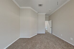 17210 Brookhollow Trace Ct in Houston, TX - Building Photo