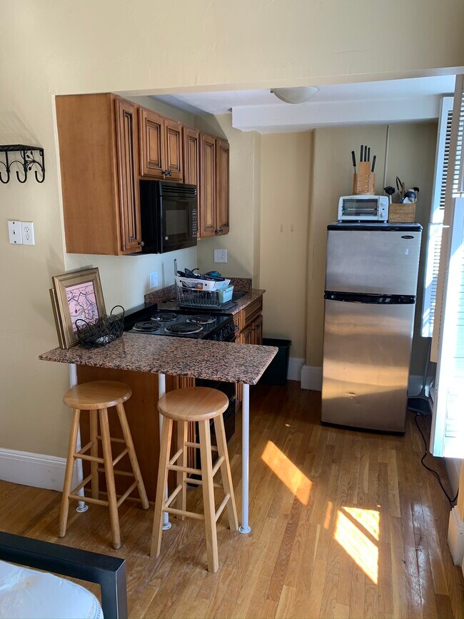 197 Fuller St, Unit 505 in Brookline, MA - Building Photo - Building Photo