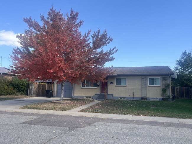 6448 Iris Way in Arvada, CO - Building Photo - Building Photo