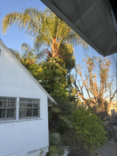 5115 Coldwater Canyon Ave, Unit 4 in Sherman Oaks, CA - Building Photo - Building Photo