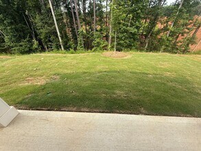 2304 Grape Vine Wy in Braselton, GA - Building Photo - Building Photo