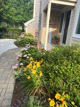 18 Pine Grv, Unit 18 in Yarmouth Port, MA - Building Photo - Building Photo