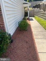 19953 Abram Ter in Ashburn, VA - Building Photo