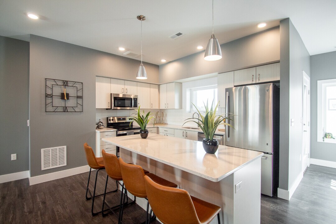 Juniper Rows at Olde Towne Photo