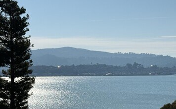 555 Virginia Dr in Tiburon, CA - Building Photo - Building Photo