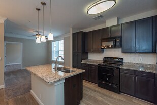 Red Knot at Edinburgh in Chesapeake, VA - Building Photo