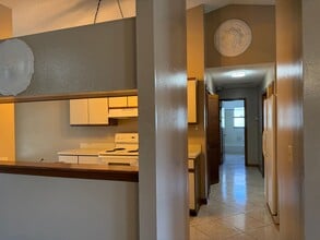 2428 Sweetaire Ct in Apopka, FL - Building Photo - Building Photo