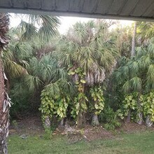 653 Squire Cir, Unit #204 in Naples, FL - Building Photo - Building Photo