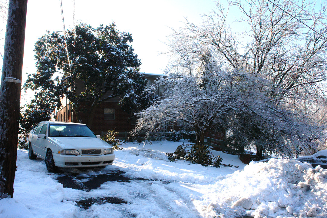 404 Lindsay Ct in Louisville, KY - Foto de edificio