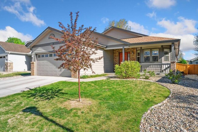 2267 Steamboat Springs St in Loveland, CO - Building Photo - Building Photo