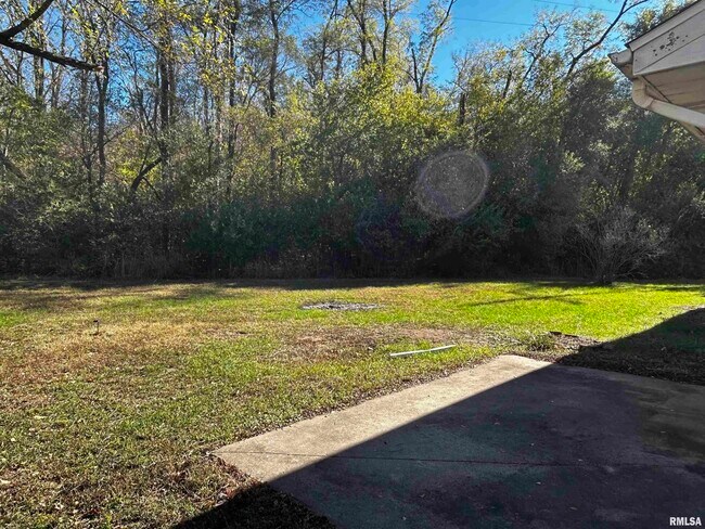 1107 Eisenhower Dr in Pekin, IL - Building Photo - Building Photo