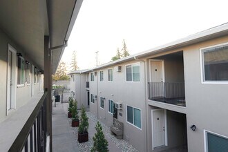 The Canopy in Sacramento, CA - Building Photo - Building Photo