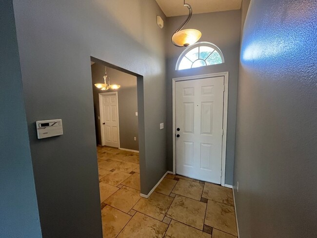 2304 Hickory Pine St in Orlando, FL - Building Photo - Building Photo