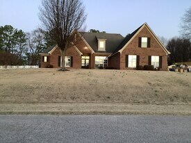8638 Wilderness Tr in Olive Branch, MS - Building Photo