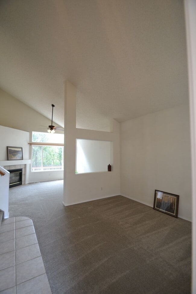 815 Riverview Ln in Colorado Springs, CO - Building Photo - Building Photo