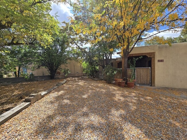 property at 295 Lomita St