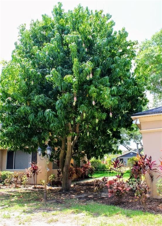 5611 S Sherwood Ave in Tampa, FL - Building Photo - Building Photo