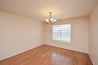 17023 Blue Mist Cir in Sugar Land, TX - Building Photo - Building Photo