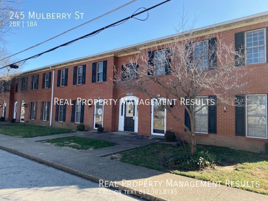245 Mulberry St in Evansville, IN - Building Photo