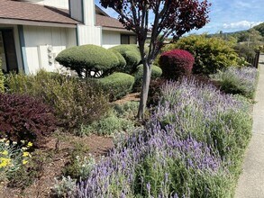 192 San Andreas Dr in Novato, CA - Building Photo - Building Photo