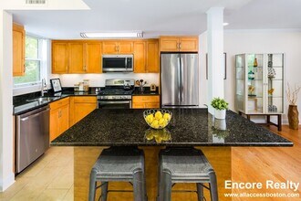 567 VFW Parkway in Boston, MA - Building Photo - Building Photo