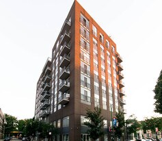 1546 N Orleans St in Chicago, IL - Building Photo