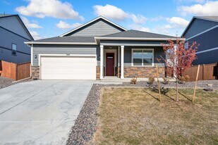 5000 Alur St in Windsor, CO - Building Photo