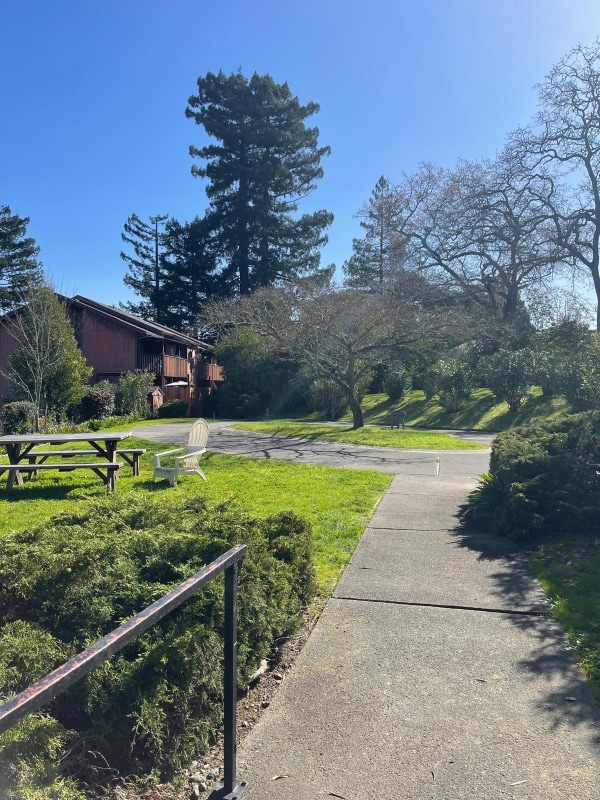 385 Murphy Ave in Sebastopol, CA - Building Photo - Building Photo
